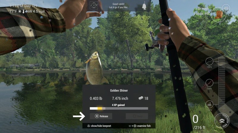 fishing planet ps4 guide 2018